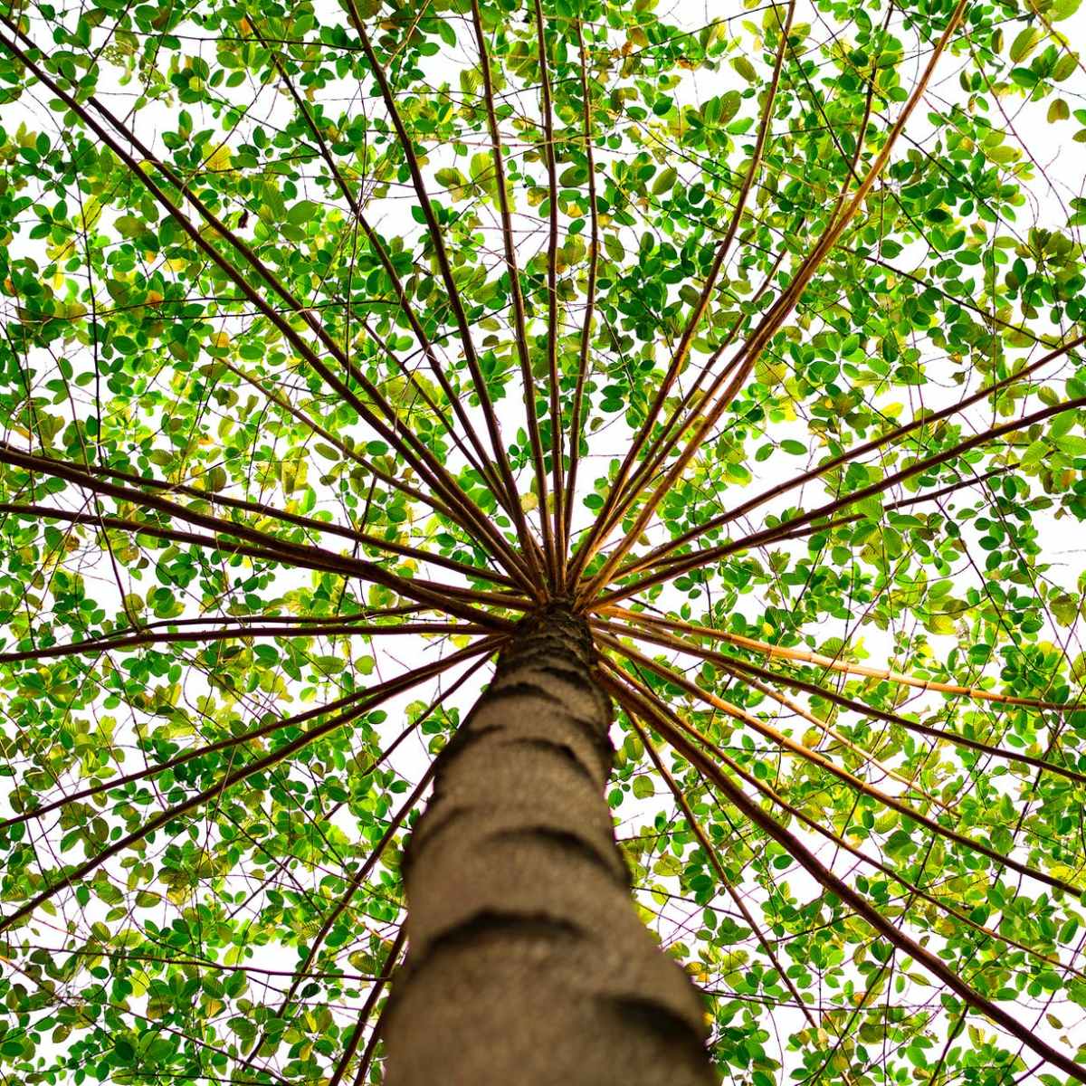 C’è demenza e&nbsp;demenza